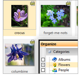 ACDSee Photo Manager 2009 ACDSee Photo Manager 2009