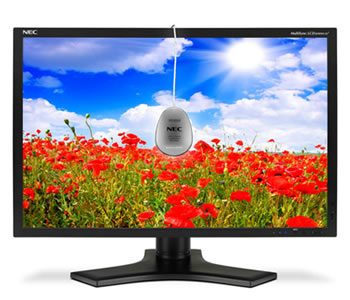 nec multisync nec multisync