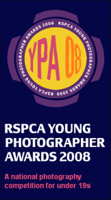 YPA 2008