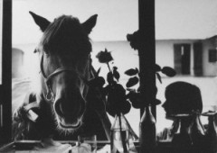 Imanta Puriņa fotoizstāde Imanta Puriņa fotoizstāde
