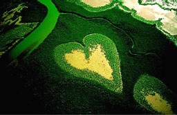 Yann Arthus Bertrand Yann Arthus Bertrand