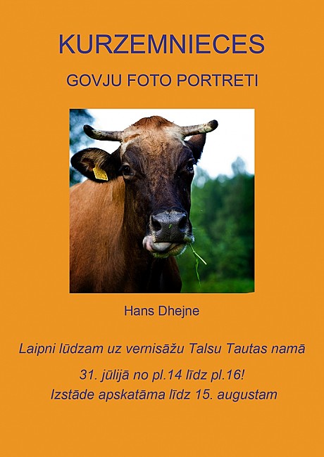 Kurzemnieces govju foto portreti Kurzemnieces govju foto portreti