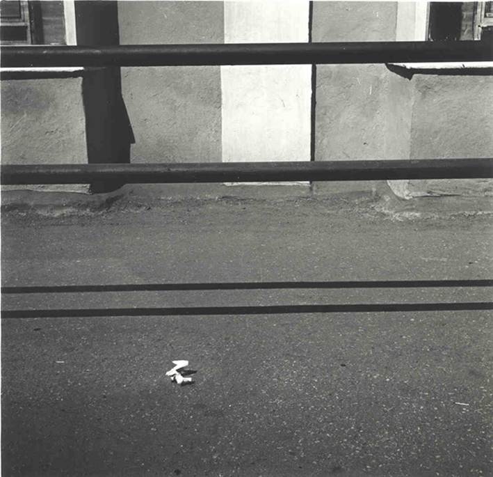 Alexandre Slusarev paper on ground with bars