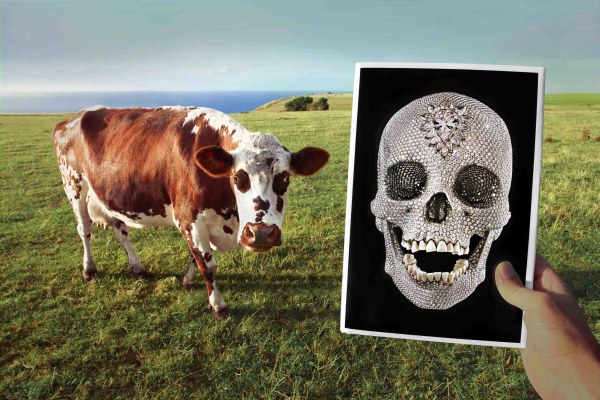 by Marcos Lopez Cow skull Normandie 2010 by Marcos Lopez Cow skull Normandie 2010