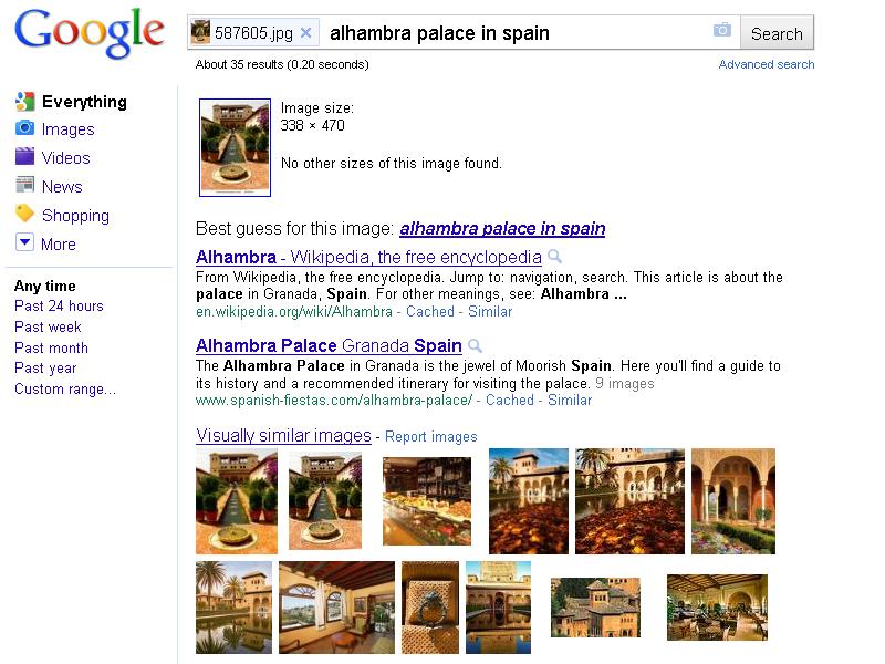 image search google image search google