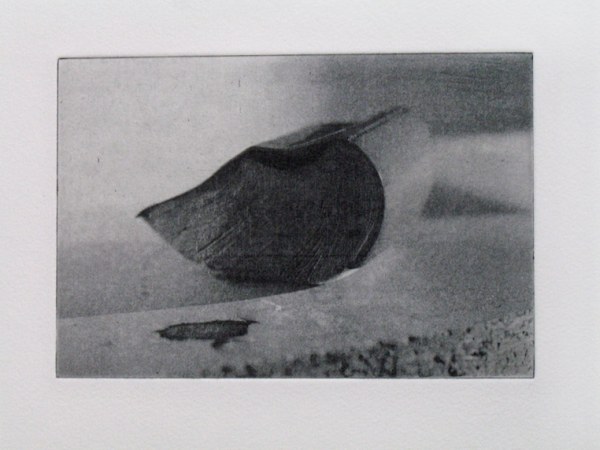 vārdnīca fotopolimērs 2007