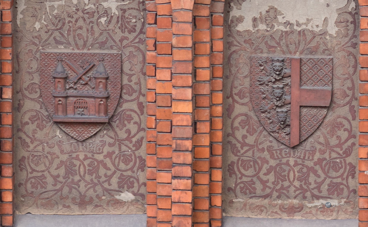 5dsr crop raw