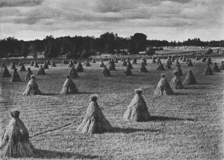 Kārlis Ezergailis. “Rudzu lauks” N.v. 1913. No "Stari", 1913, Nr. 8. Kārlis Ezergailis. “Rudzu lauks” N.v. 1913. No "Stari", 1913, Nr. 8.